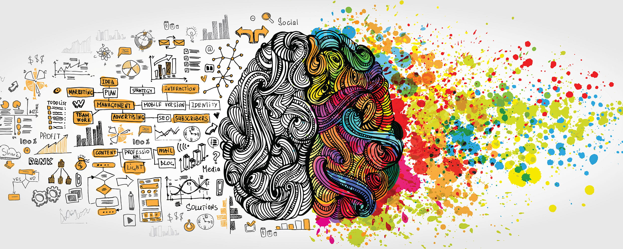 Left right human brain concept. Creative part and logic part with social and business doodle