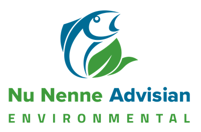 Nu Nenne Advisian Environmental logo